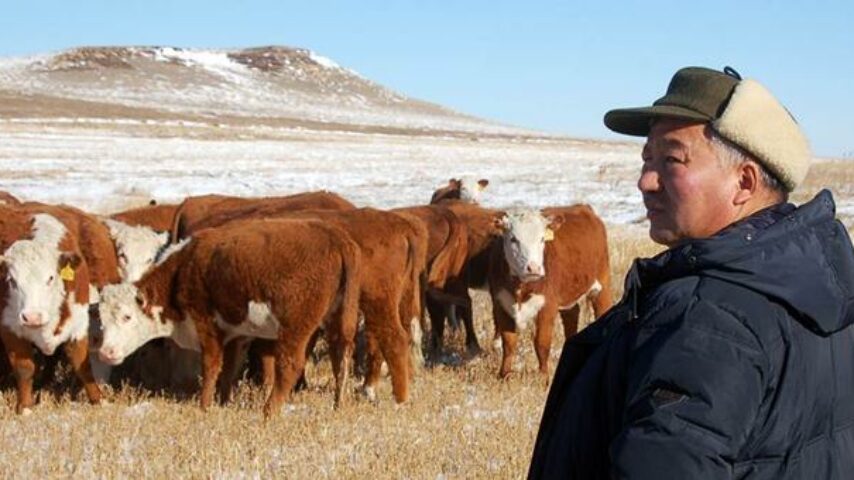 Λευκορωσία και Καζακστάν κερδισμένοι από το εμπάργκο κρέατος στη Ρωσία