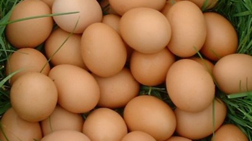 Και την ελληνοποίηση των αυγών θα ελέγχει ο ΕΛΓΟ