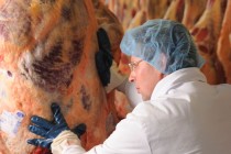 Πανόραμα της ευρωπαϊκής παραγωγής κρέατος