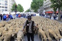 Οι Γάλλοι κτηνοτρόφοι στους δρόμους