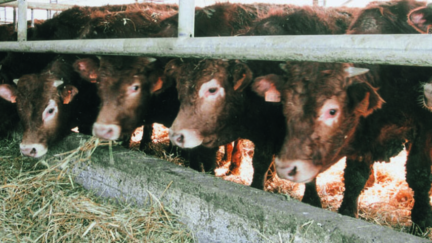 Ειδική σήμανση για το κρέας από τις ζώνες επιβολής περιορισμών