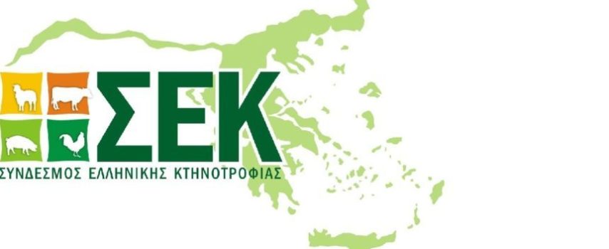 ΣΕΚ για ελληνοποιήσεις: Η εφαρμογή θα κρίνει την επιτυχία του νέου νόμου του ΥΠΑΑΤ