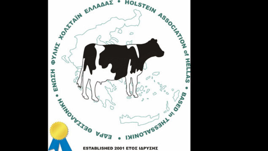 Ένωση Χολστάιν: Αναπτυξιακός πόλος η ελληνική αγελαδοτροφία
