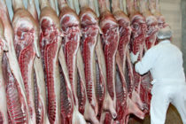 Σημαντική μείωση στις εξαγωγές χοιρινού κρέατος της Ε.Ε. το 10μηνο του 2021