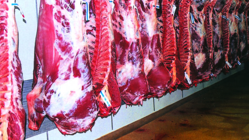 Πώς επηρέασε τις εισαγωγές μοσχαρίσιου κρέατος στην Ελλάδα ο κορωνοϊός