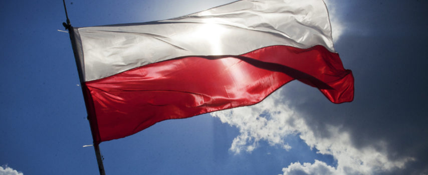 Ευρωπαϊκή στήριξη ζητά η Πολωνία για τα νέα κρούσματα ASF