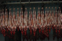 Οι προϋποθέσεις για υπαγωγή επενδύσεων μεταποίησης κρέατος στον νέο αναπτυξιακό