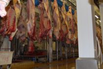 Ισχυρή αύξηση εξαγωγών για το ευρωπαϊκό βόειο και το χοιρινό προβλέπεται το 2019