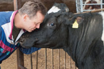 Νέοι κανόνες για τη χρήση αντιβιοτικών στην κτηνοτροφία