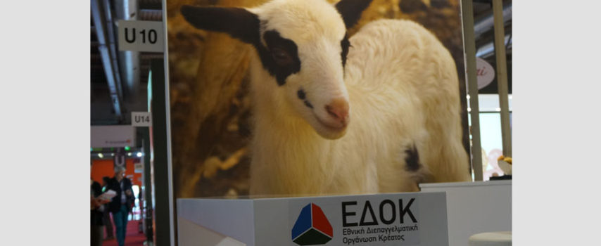Νέο ευρωπαϊκό πρόγραμμα για την ΕΔΟΚ – Meet the EU Lamb σε Σαουδική Αραβία και Εμιράτα