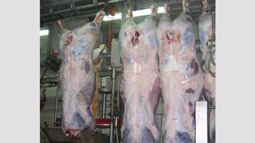 Πήρε ΦΕΚ η Απόφαση με τα συμπληρωματικά μέτρα για την ταξινόμηση σφάγιων βοοειδών και χοίρων