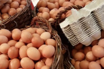Στο «ΑΡΤΕΜΙΣ» και ο κλάδος παραγωγής και εμπορίας αυγών