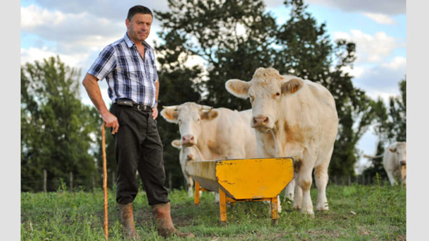Copa & Cogeca: Επιστρέφει η αισιοδοξία στους Ευρωπαίους αγρότες