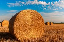 Απλούστευση κανόνων και διαδικασιών για τη γεωργία