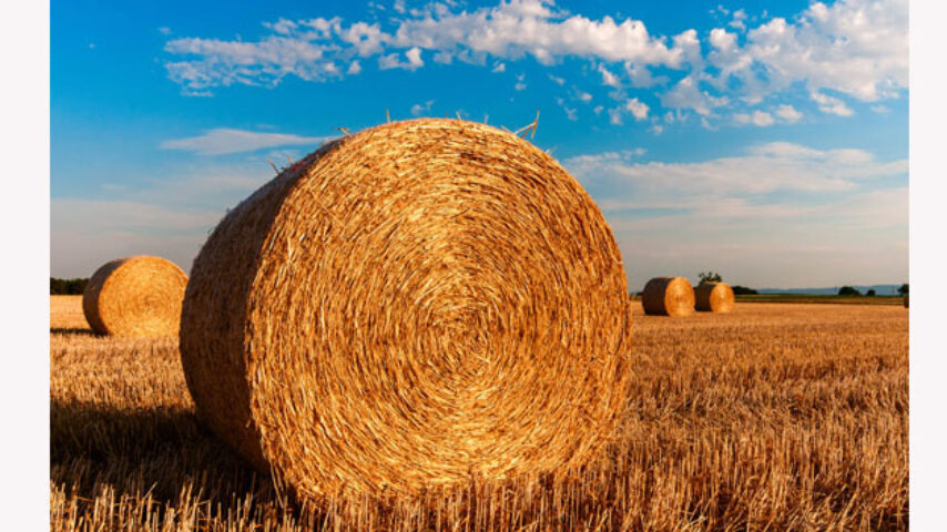 Σημαντική συμβολή της γεωργίας στην κλιματική αλλαγή, βλέπουν οι Ευρωπαίοι πολίτες