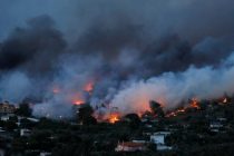 Ποιες άμεσες δράσεις προτείνει ο ΣΥΡΙΖΑ για την πρωτογενή παραγωγή, μετά τις πυρκαγιές