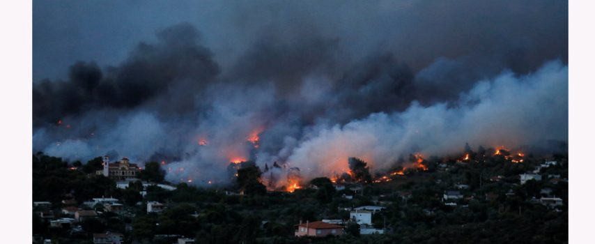 Ποιες άμεσες δράσεις προτείνει ο ΣΥΡΙΖΑ για την πρωτογενή παραγωγή, μετά τις πυρκαγιές