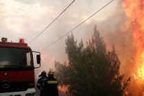 Τη θλίψη τους για την τραγωδία από τις πυρκαγιές εκφράζουν έμποροι και επαγγελματοβιοτέχνες