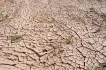 Παρεκκλίσεις στους κανόνες καλλιεργειών για βοσκή, και αύξηση προκαταβολών στους αγρότες λόγω ξηρασίας
