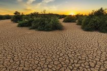Πλήγμα για γεωργία – κτηνοτροφία οι συνθήκες ξηρασίας στην Ε.Ε., ανήσυχη η Κομισιόν