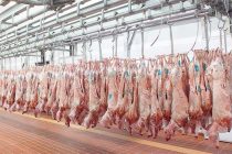 Καταργείται η υποχρέωση για δήλωση αποθεμάτων αιγοπρόβειου κρέατος