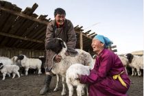 Παγκόσμιο Σχέδιο Δράσης για την υποστήριξη της οικογενειακής γεωργίας