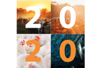 Rabobank: Πώς θα κινηθεί το 2020 η παγκόσμια αγορά ζωικών προϊόντων
