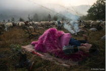 Η μετακινούμενη κτηνοτροφία στην Ήπειρο, σε φωτογραφίες του Δ. Τοσίδη