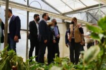 Επιπλέον 100 εκατ. ευρώ για Νέους Αγρότες ανακοίνωσε ο Γεωργαντάς