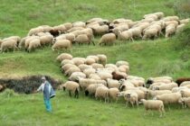 Εφ’ όλης της ύλης συνάντηση κτηνοτρόφων με Γεωργαντά – Βεσυρόπουλο