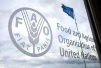 FAO: Οι κτηνοτρόφοι “κλειδί” για τους βοσκότοπους