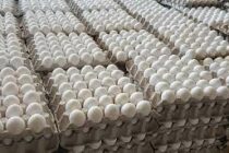 Η μείωση της παραγωγής αβγών επηρεάζει την οικονομία διεθνώς