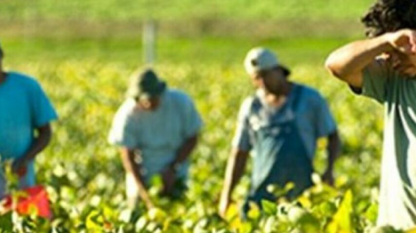 Η έλλειψη εργατών γης κοστίζει ακριβά στην παραγωγική διαδικασία – Ερώτηση του κ. Αραχωβίτη προς τον υπουργό Μετανάστευσης και Ασύλου