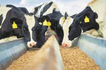 ΗΠΑ: Οδηγίες για την ασφάλεια των ζωοτροφών
