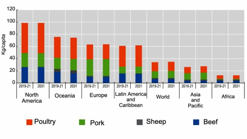 Αύξηση της παγκόσμιας παραγωγής χοιρινού κρέατος κατά 17% την επόμενη δεκαετία