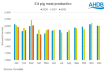 Αυξημένη η παραγωγή χοιρινού κρέατος στην Ε.Ε.