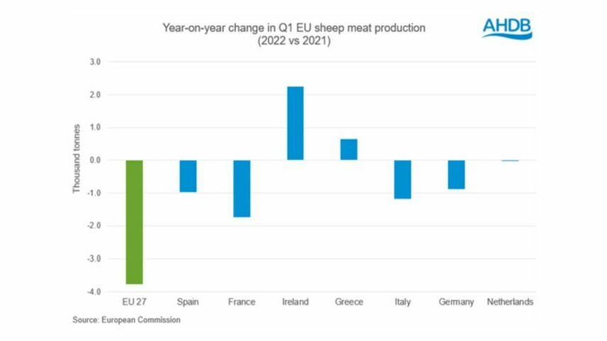 Eλλάδα και Ιρλανδία «σώζουν» την παραγωγή πρόβειου κρέατος της Ε.Ε.