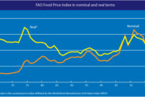 FAO: Παγκόσμια μείωση προϊόντων διατροφής