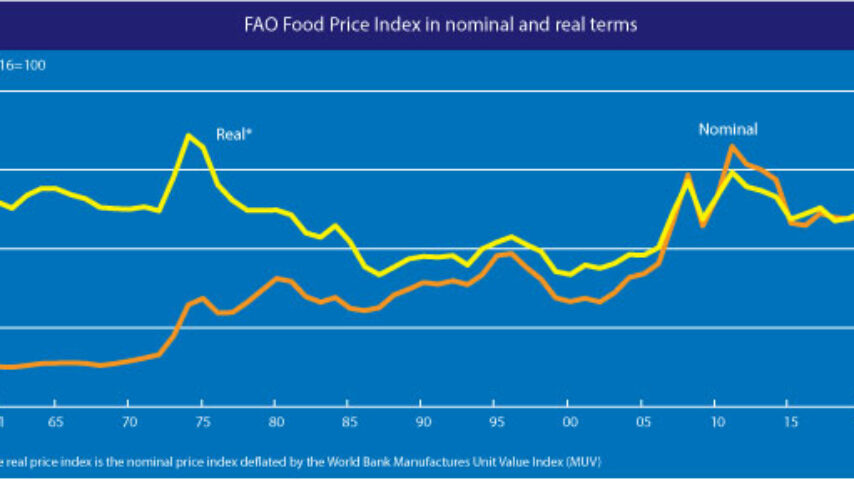 FAO: Παγκόσμια μείωση προϊόντων διατροφής