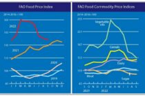 FAO: Μείωση του Δείκτη Τιμών Κρέατος τον Σεπτέμβρη