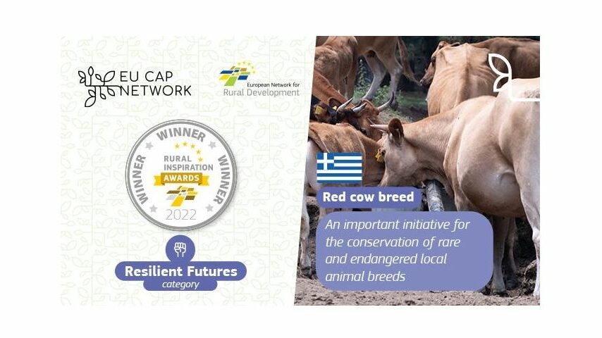 Βραβείο «Ανθεκτικού Μέλλοντος» στην Ελληνική κόκκινη φυλή Καστοριάς – Κρυσταλλοπηγής