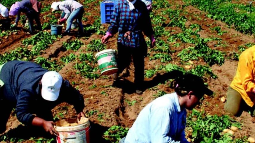 Έλεγχοι σε αγροτικές επιχειρήσεις για εργασιακή εκμετάλλευση