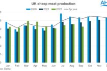 Αύξηση παραγωγής πρόβειου κρέατος στο Ηνωμένο Βασίλειο