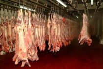 FAO: Αύξηση τιμής αιγοπρόβειου κρέατος