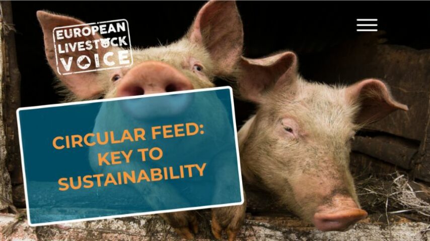 Πρόσφατες συνθήκες που επηρεάζουν την κτηνοτροφία στην Ε.Ε.