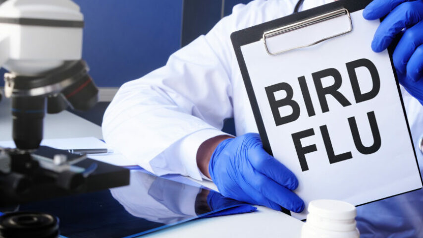 “Καλπάζει” η γρίπη των πτηνών σε Βουλγαρία και Ρουμανία
