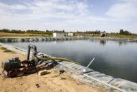 FAO: Το νερό, ρυθμιστικός παράγοντας της επιτιστικής ασφάλειας