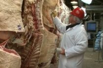 Rabobank: Πτώση τιμών και εξασθένηση αγοραστικού ενδιαφέροντος βόειου κρέατος, για το 2023