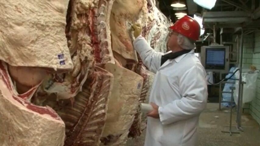 Rabobank: Πτώση τιμών και εξασθένηση αγοραστικού ενδιαφέροντος βόειου κρέατος, για το 2023