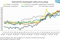Οι αυξημένες τιμές φέρνουν μείωση της παραγωγής βοοειδών και προβάτων στην Ε.Ε.